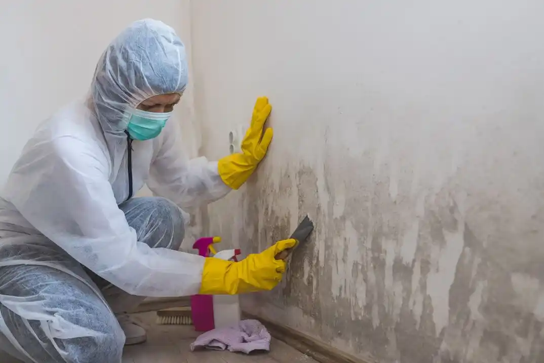 water damage restoration service Kur-It
